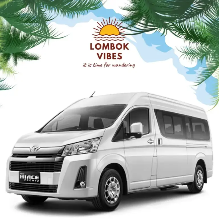 Toyota Hiace Premio