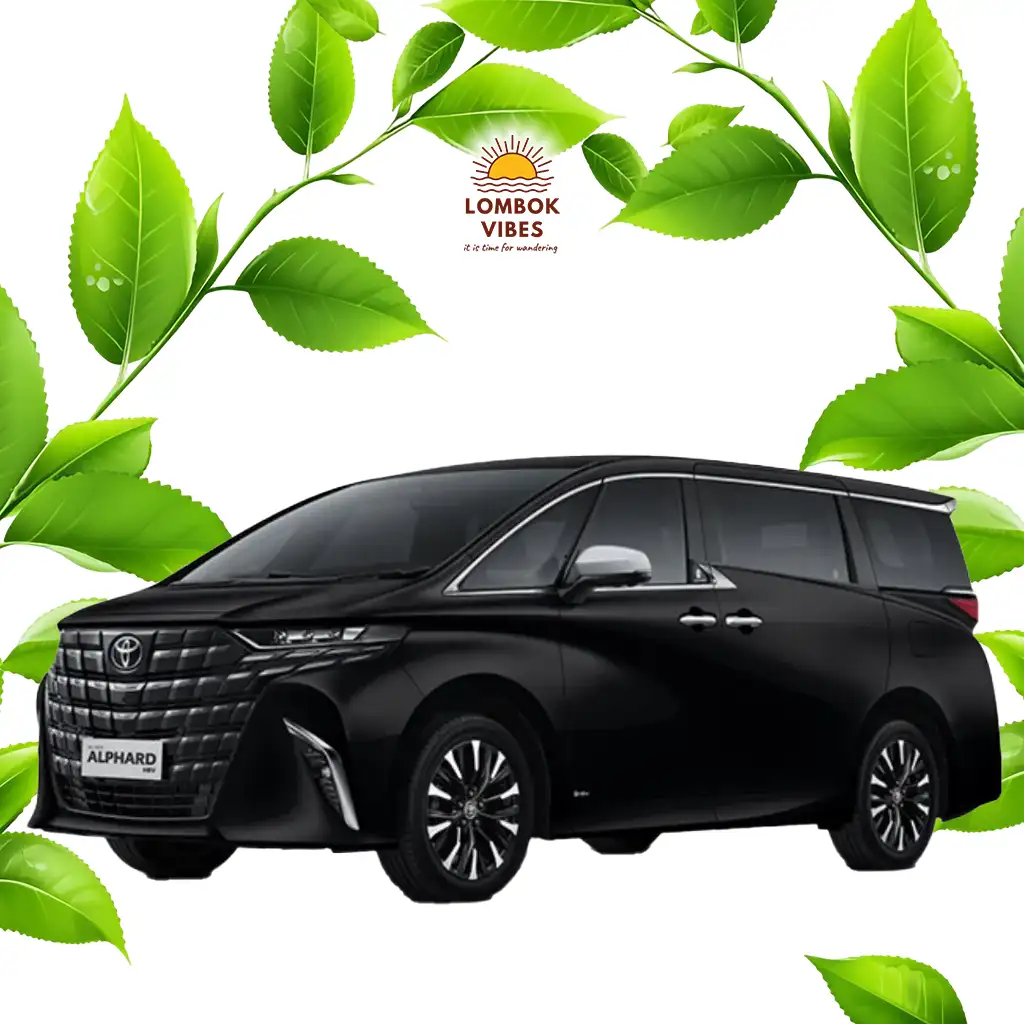 Car rental in bangsal Toyota Alphard 2024