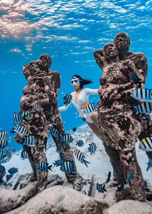 instasave.website_464318952_1227062585212739_1959915721885079662_n